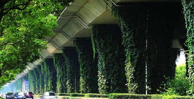  荒漠@断河复流荒漠变绿洲 中国竟成全球重大剧变受益者？