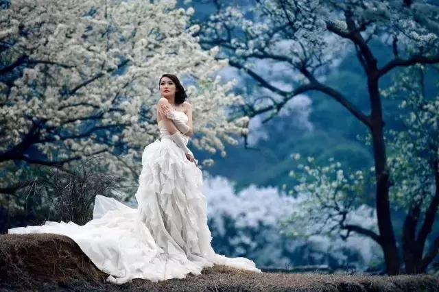 2019年，去林芝看桃花！