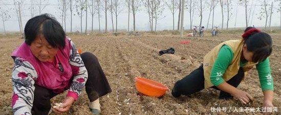 种蒜的农民都活该大蒜每亩至少赔1000元，你知道吗