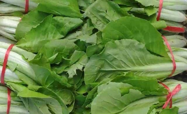  [存活率]你不知道怎么种卷心菜。事实上，你可以用这种方法种植卷心菜。学得快