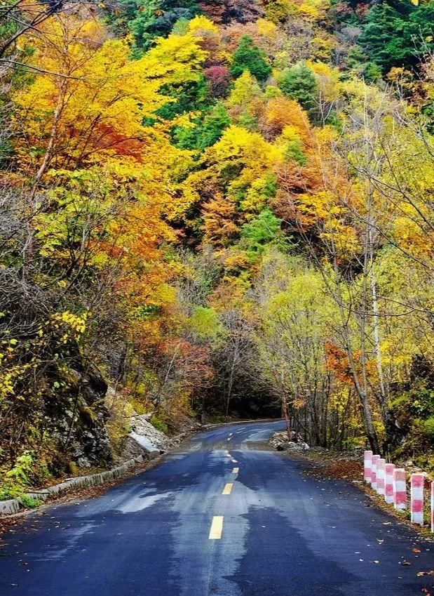 秦岭深藏敢与九寨沟媲美的地方！有条惊艳的自驾公路