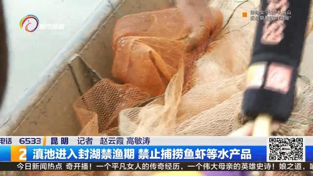  [鱼虾]滇池进入封湖禁渔期，禁止捕捞鱼虾等水产品