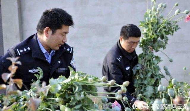 中国最特殊的农民，武警24小时持枪保护，只因种的东西太重要