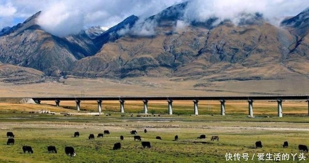 青藏铁路仅有一条轨道，两辆火车碰面该怎么办？答案很机智