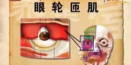  #生成太#表姐外切去眼袋术后眼睛发红，看不清, 去眼袋手术后眼睛淤血不会瞎吧！
