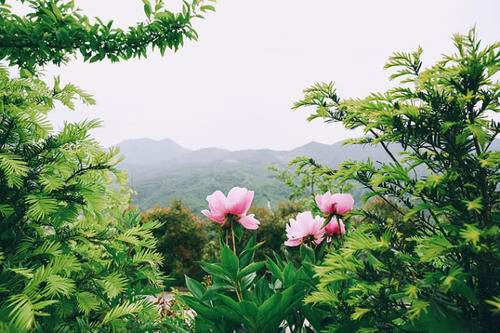  #gdp#江西省“发展最猛”的城市，GDP赶超省会南昌，未来的经济