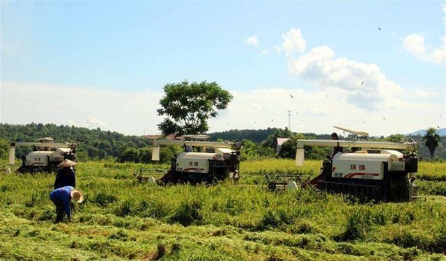  农村：十年后的农村, 这三样东西将会比房子车子还值钱, 你有吗?