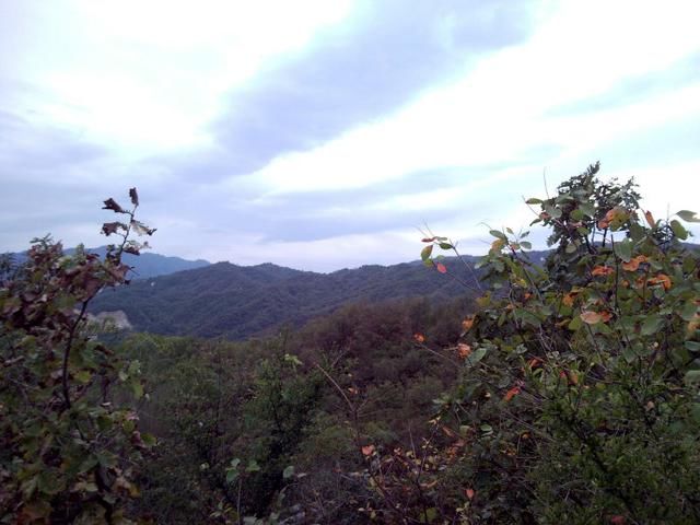 河南有一风景如画的河谷景区，红石遍布瀑潭相连，吃住便宜无门票