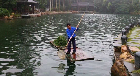 广西最“难混”的城市，打5份工作才勉强过日子，生活成本惊人
