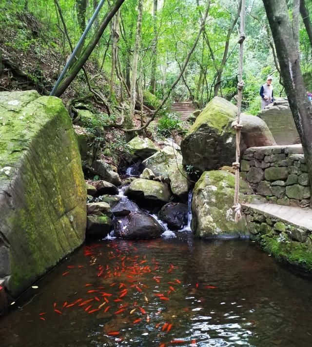  『踏青』清明小长假昆明周边家庭游，踏青、避暑、漂流，本地人最爱去！