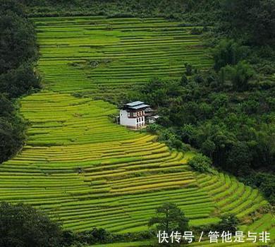  『古代』袁隆平地位为何如此之高看看古代粮食产量，就会明白他有多伟大！