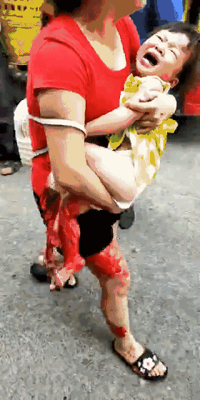 这两条刷屏的“新闻”其实是谣言！这锅狗狗坚决不背！