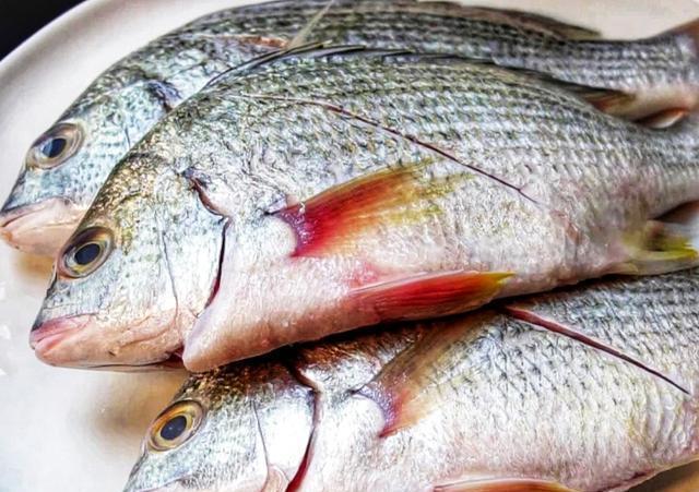  [好坏]海鱼看起来都差不多，该如何分好坏谨记4技巧避坑，鱼贩行家！