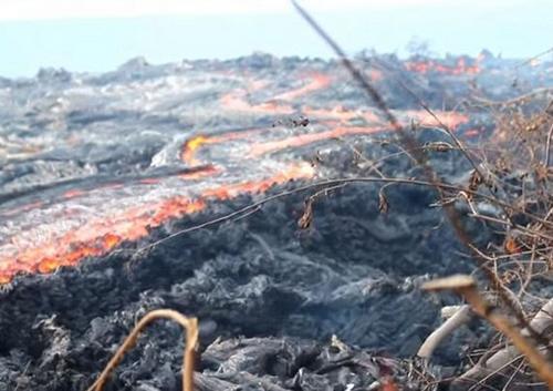 夏威夷活火山喷发 熔浆吞噬森林
