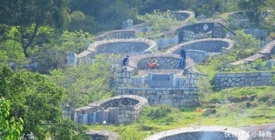  「取消」有专家建议取消土葬改为火葬，还美其名曰：对农民好，