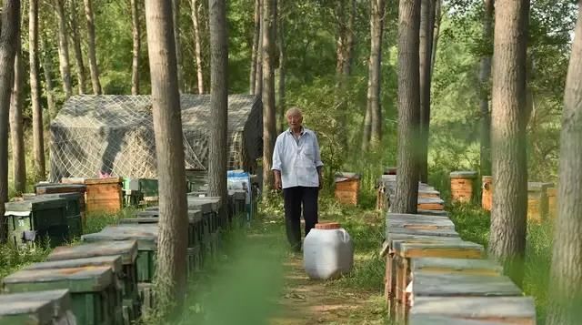  光照■在农村承包地，别人栽的树挡太阳光照导致粮食减产，怎么