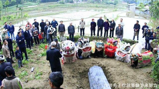 农民要哭了！2019年起这个地区严令禁止土葬，火葬全面免费