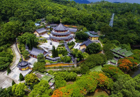 广东这个区将成最大赢家，贯穿高速扩建8车道，未来发展势不可挡