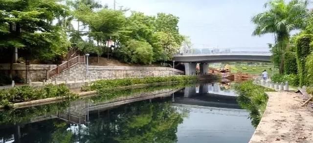 大量死鱼！广西南宁可心江一夜之间变“墨水河”，污染源不明