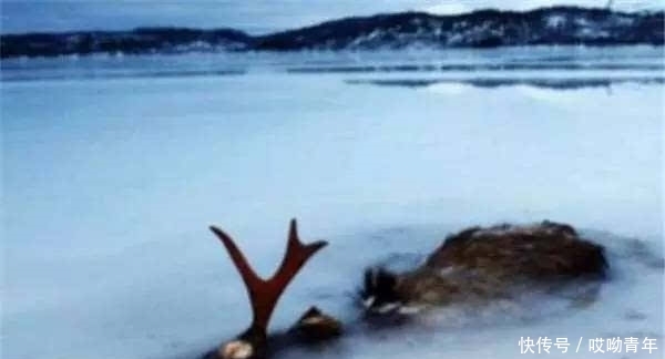 男子在结冰的湖面上溜冰,往湖面下一看,竟让他差点吓到心脏病发