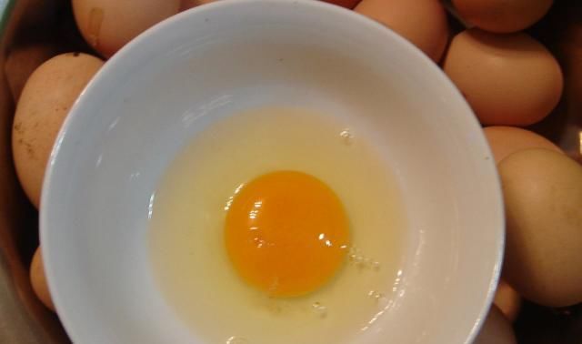  城里人|以前农村土鸡蛋在城里很热销，现在为什么却很少有人购买