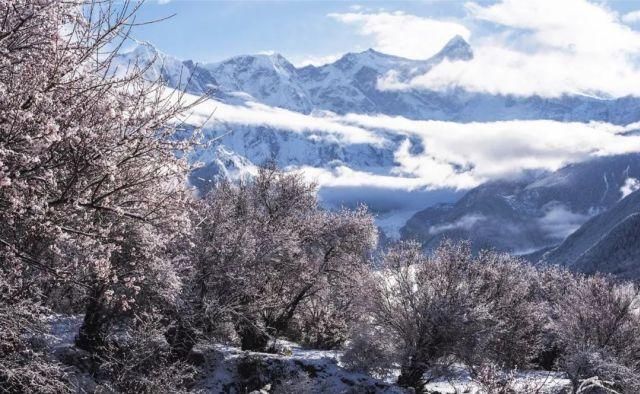 西藏门票全免！冬日雪景不输阿尔卑斯的美