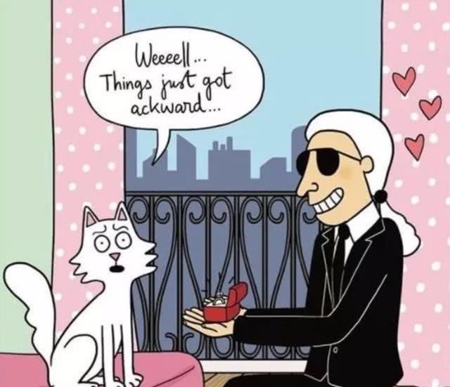  『Choupette』时尚教父“老佛爷”生前养的这只猫，有多幸运就有多难过