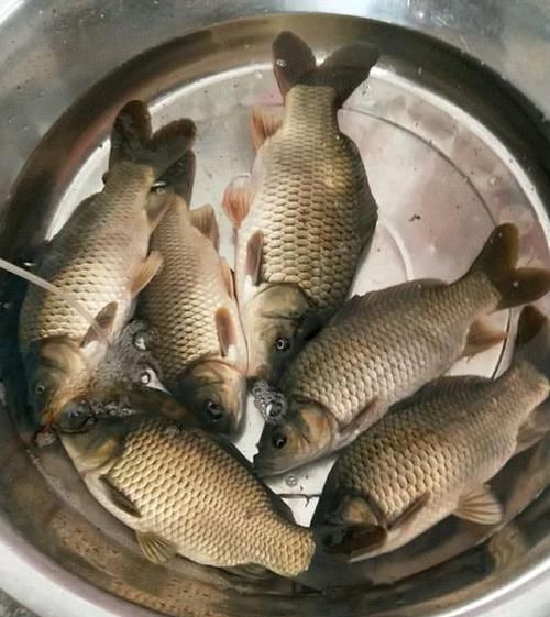  [钓龄]不管在哪儿钓鱼，只要解决这几个难题，钓龄在2年内的都钓不过你