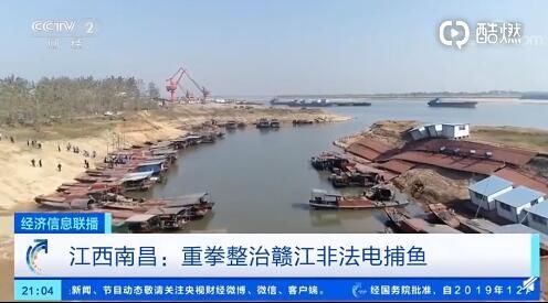  电鱼@大鱼小鱼一网打尽？非法电鱼统统打击！重拳治电鱼