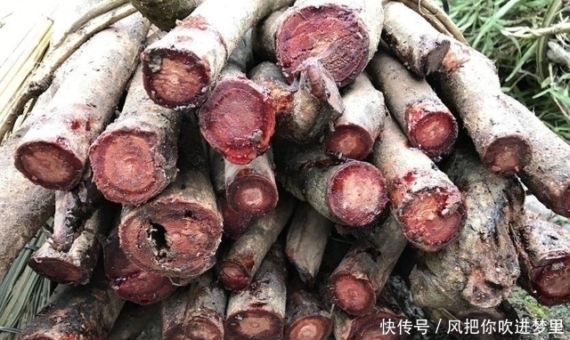 农村大叔在集市上所卖的一捆“生柴”,竟狮子大开口要价100元！