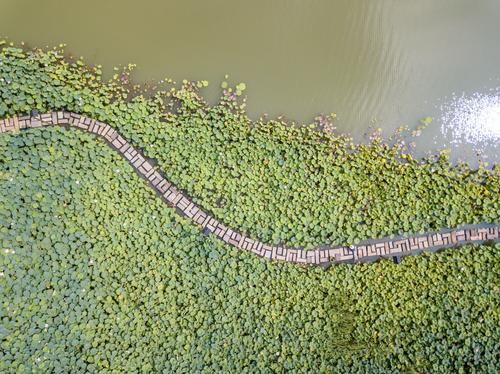 中国最值钱的村子在浙江，建于60年代，一家三口住一晚2288元