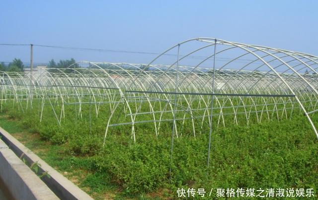  【秸秆】农民请注意！在农村这4种行为已经被禁止，有你的话千万