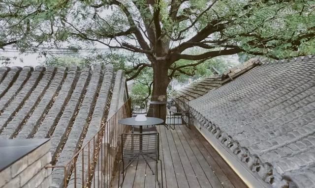 住了一晚青山周平爆改的大杂院，终于明白了北京胡同的迷人之处