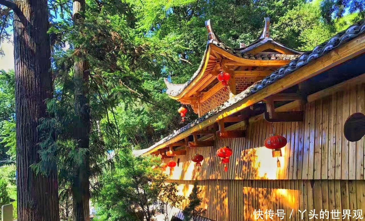 浙江这座小城，深藏于青山绿水间，美的原始淳朴又撩人！