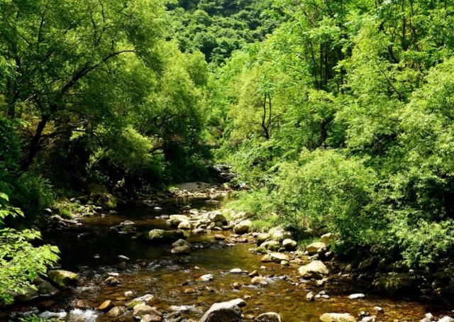 西安秦岭植物园，面积相当于20个澳门，坐车逛一天也逛不完