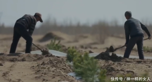 马云的“蚂蚁森林”已三年 竟将“死亡之海”变绿洲 网友：厉害了