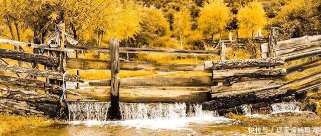 别错过秋天的林芝,景色堪比喀纳斯,最不该错过秋色童话世界