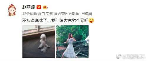 卓伟再作妖 爆料怀孕是真的！只因圈里有不足三月不可言的惯例