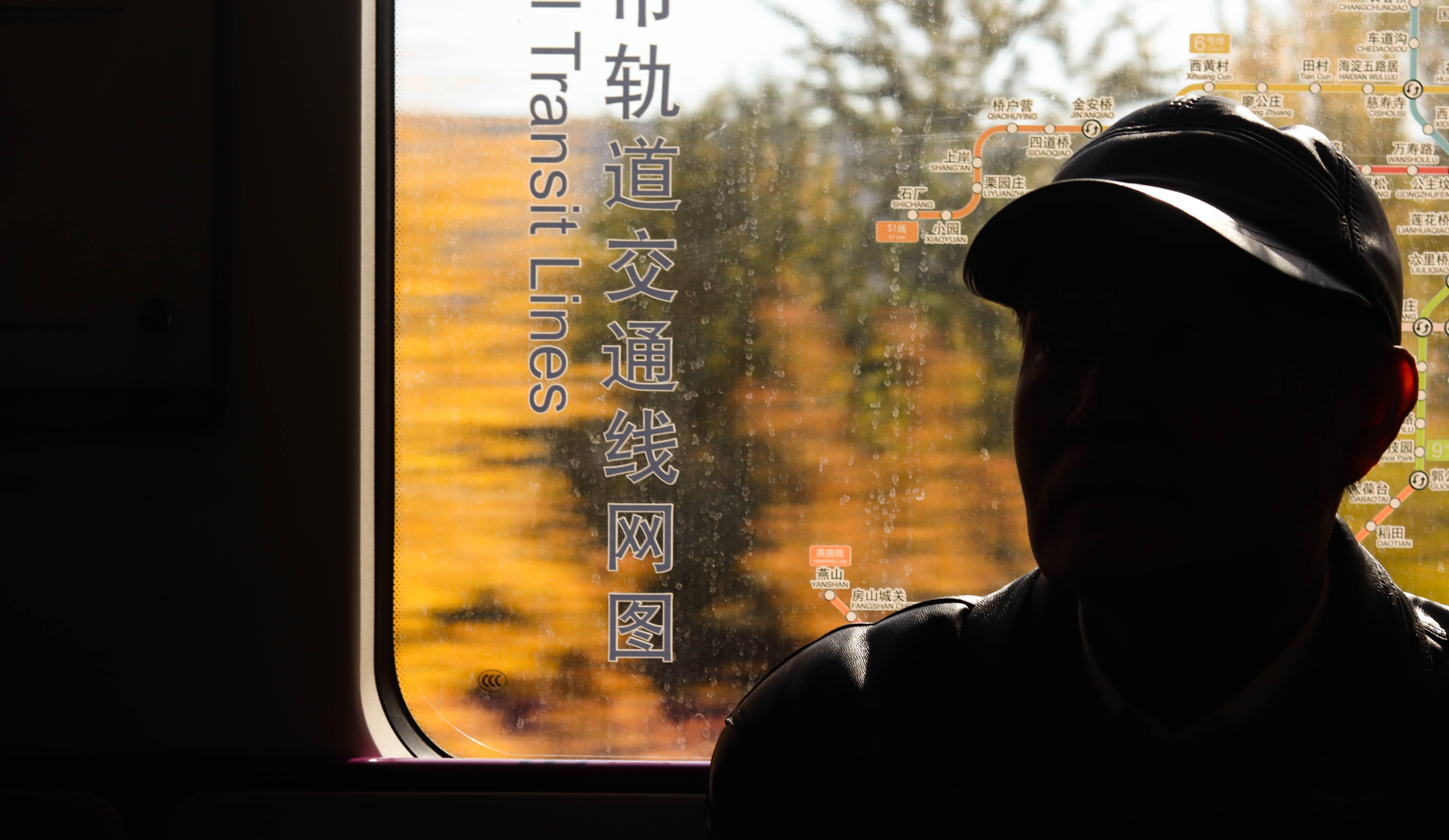 他愿付出生命的三分之二,只为留住北国秋天│北京表情