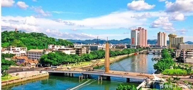  「小虎」广东四小虎是什么, 它们“虎”在什么地方?