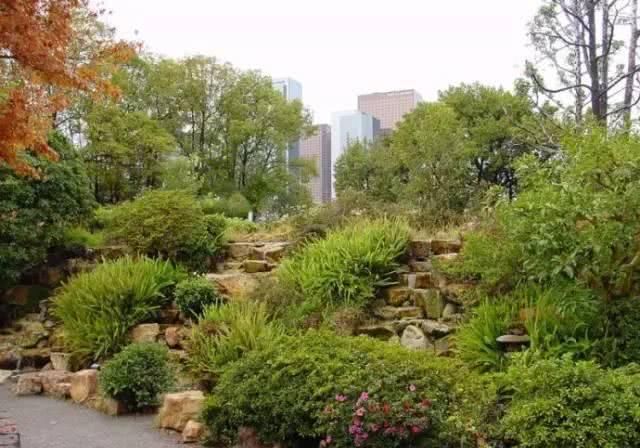 「观赏效果」园林植物搭配技巧,活学活用