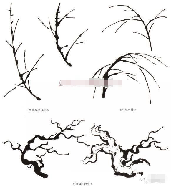 写意梅花画法示范教程，梅花的树干和根部画法，画梅花的构图形式