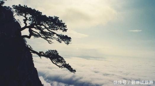 既是中华十大名山，又是避暑胜地，为何驴友们却吐槽再也不去？