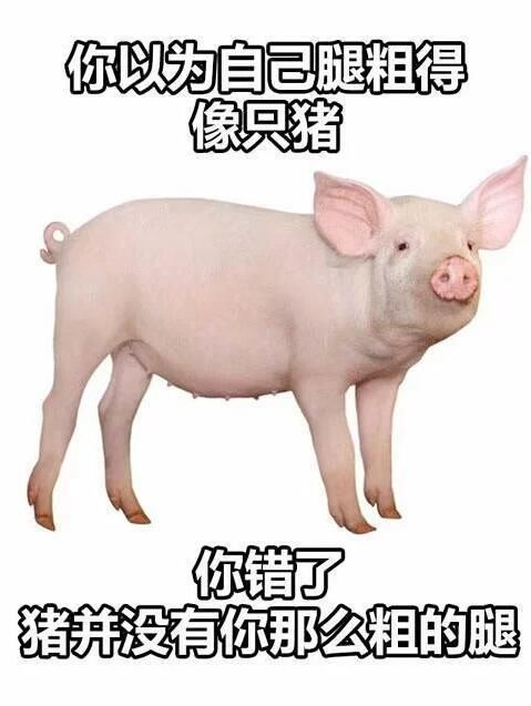 千万不要相信女生朋友圈里说的那些话:为了发自拍,啥话都说得出