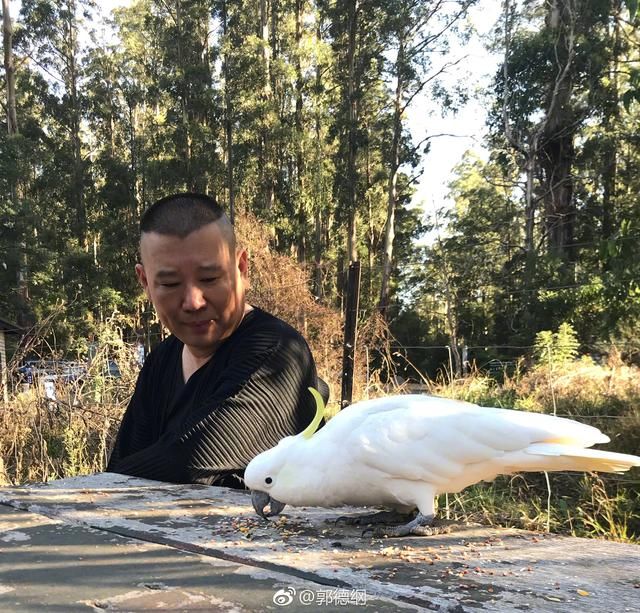 郭德纲微博不赌天意,不猜人心,郭老师果然活