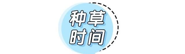  春款@最最适合脸大女生的春款帽子，每一顶都洋气爆了