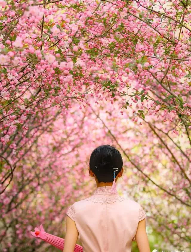 醉美不过台儿庄,小城沐浴在春光,盎然春意让阳光一天天的明媚起来【2020热门旅游景点】