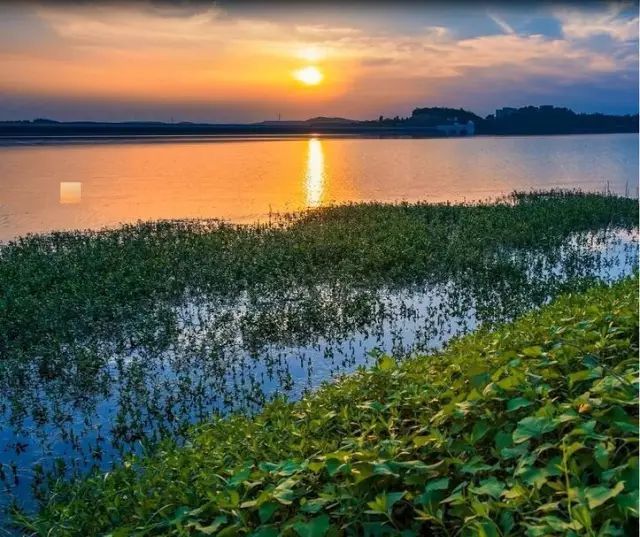  『美景』绵阳初夏最美的摄影美景地，竟然藏在这里