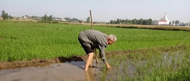  算是@在农村，有30万存款算是有钱人吗