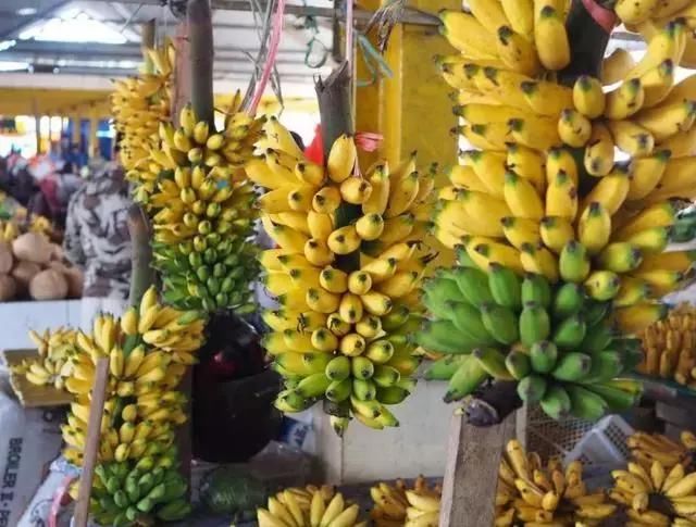 比泰国更值得去的地方，物价超低，国内直飞，最主要是游客安全!